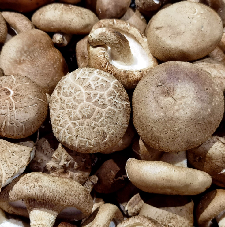 Shiitake mushrooms