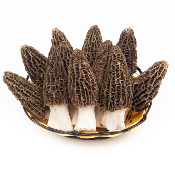 Morel mushrooms, 5 - 7 cm in size, 50g per bag.