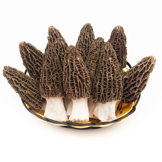 Morel mushrooms, 5 - 7 cm in size, 50g per bag.