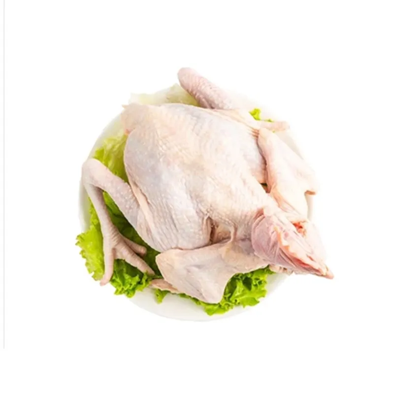 Free-range chickens, free-roaming chickens, ingredients for postnatal confinement meals, and chicken soup