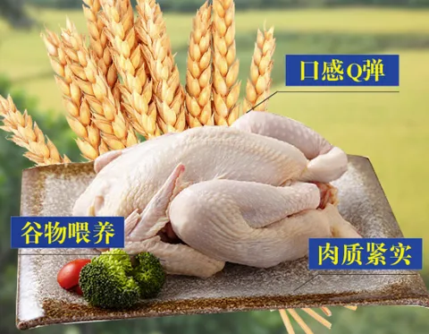 Jidan Family. Two-pack of young chickens within 125 days old, 1.8 - 2 catties per chicken. High-quality free-range young chickens.