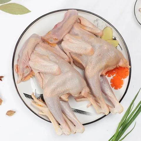 Free-range chickens, free-roaming chickens, ingredients for postnatal confinement meals, and chicken soup