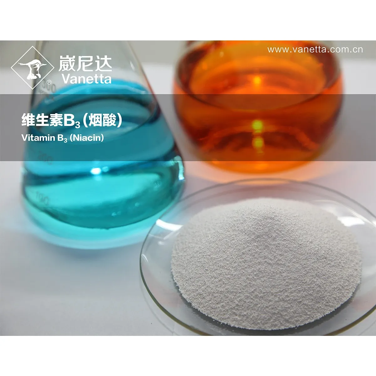 Vitamin B₃ (Niacin) Supplement &ndash; High-Potency Niacinamide or Nicotinic Acid Formula for Energy Metabolism & Skin Health