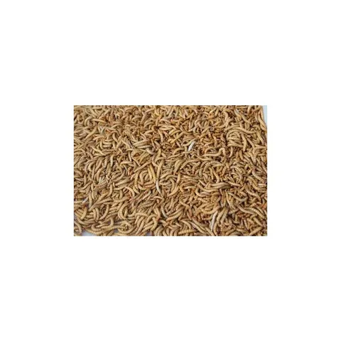 Yellow Mealworm Protein Hydrolysate / Peptides