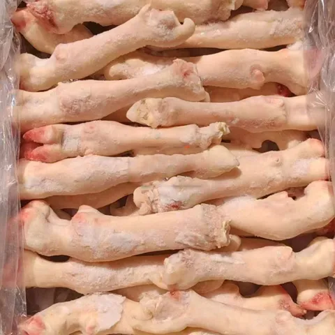 Lamb Trotters
