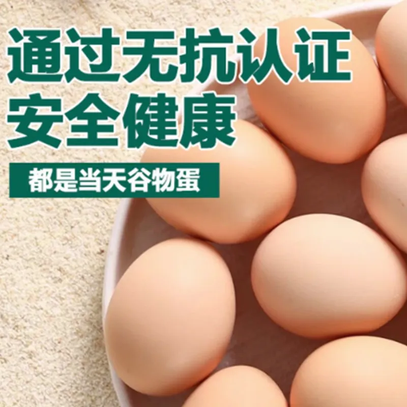 Free-Running Fresh Eggs 