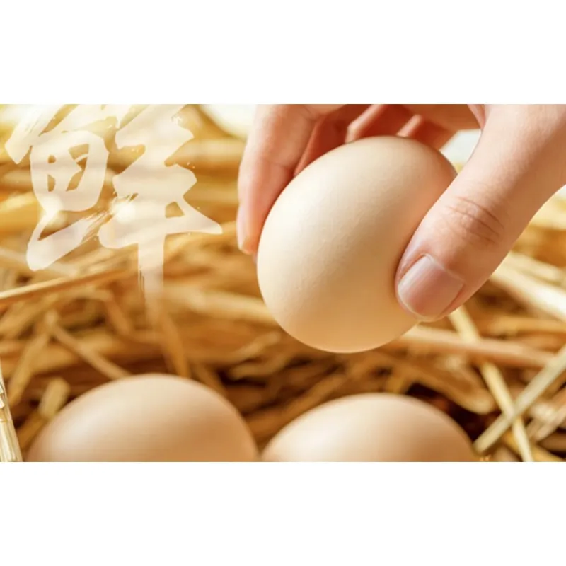 Farm-Fresh Free-Range Eggs 40g&plusmn;5 per Egg, 30-Pack