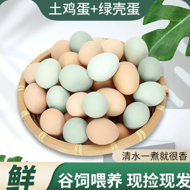 A set of free-range and black-bone chicken eggs from rural ecological free-range fresh grain eggs, each 40&plusmn;5g, 50 pieces
