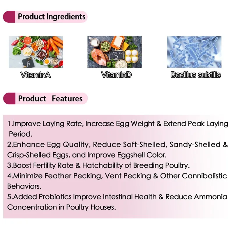 Egg-laying pioneer