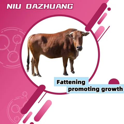 Niu Dazhuang