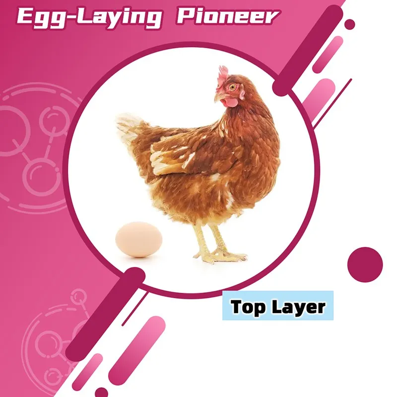 Egg-laying pioneer