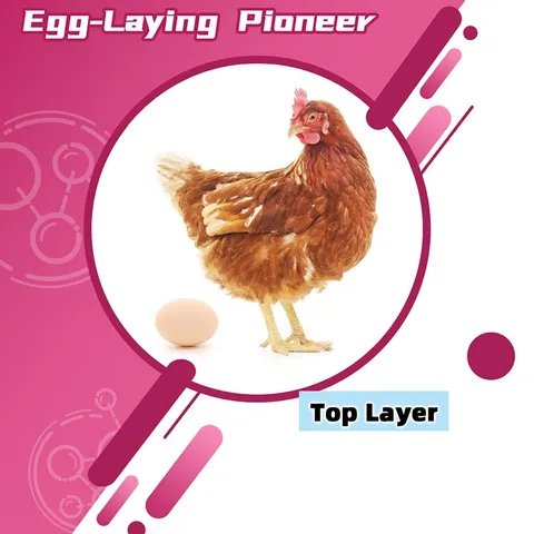 Egg-laying pioneer