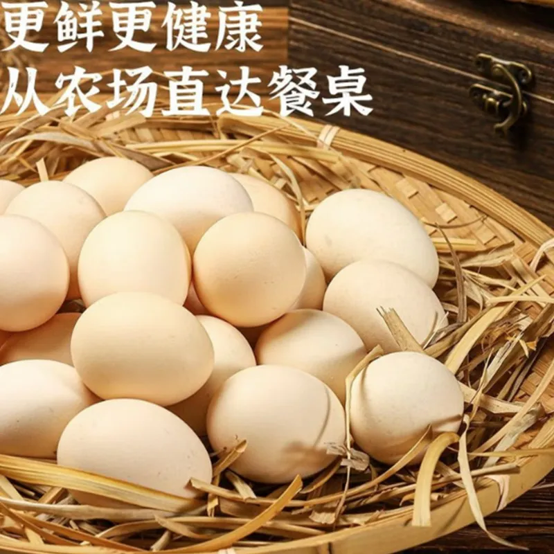 Farm-Fresh Free-Range Eggs 45g&plusmn;5 per Egg, 20-Pack