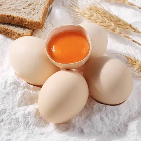Farm-Fresh Eggs | 50 Farm-Fresh Free-Range Eggs | Natural and Healthy