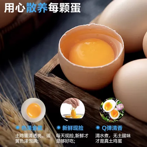 Premium Free-Range Mountain Chicken Eggs from Bamboo Forest55-60g/枚 