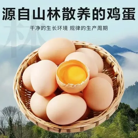 Premium Free-Range Mountain Chicken Eggs from Bamboo Forest60g/枚 