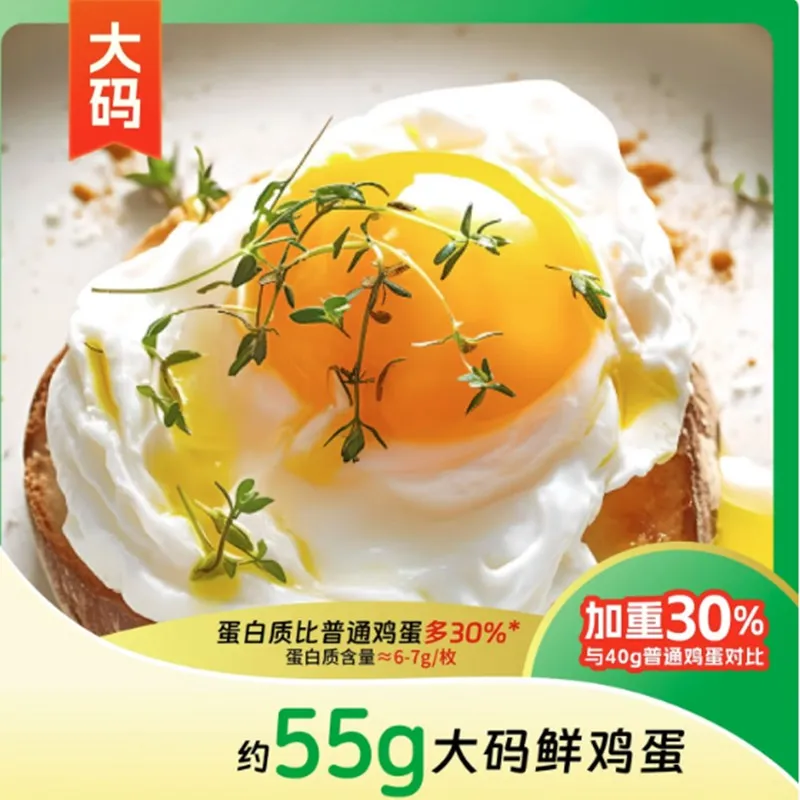 Fresh Eggs from Free-Range Farm 