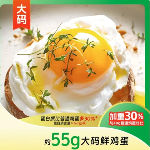 Fresh Eggs from Free-Range Farm 