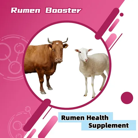 Rumen Protector