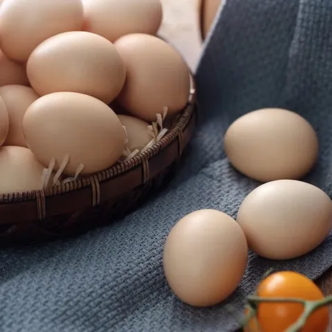 Premium Free-Range Mountain Chicken Eggs from Bamboo Forest40-45g/枚 