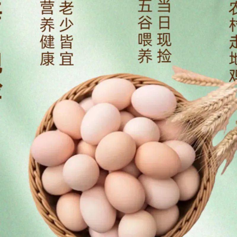 Farm-Fresh Free-Range Eggs 40g&plusmn;5 per Egg, 20-Pack