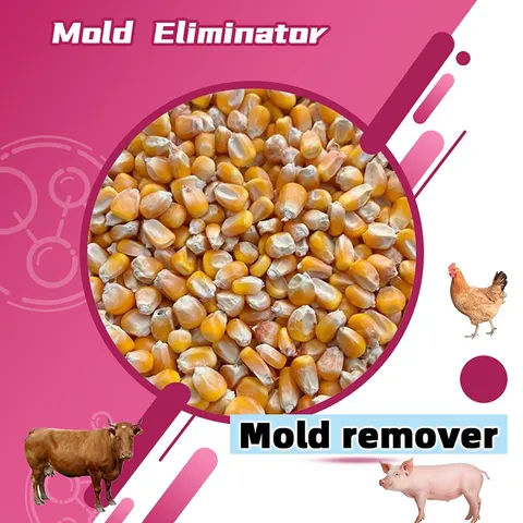 Mold removal