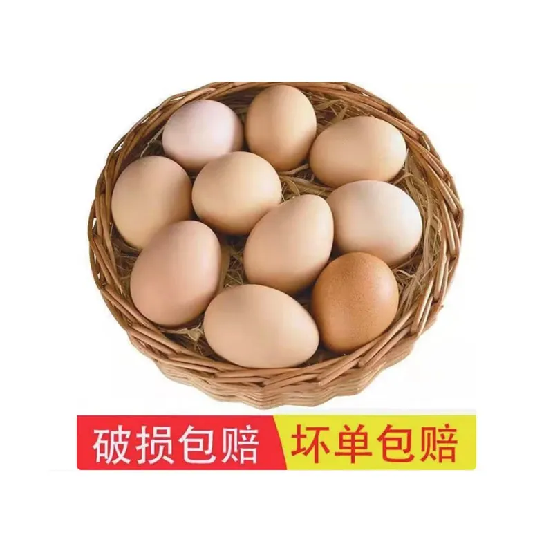 Farm-Fresh Free-Range Eggs 50g&plusmn;5 per Egg, 30-Pack