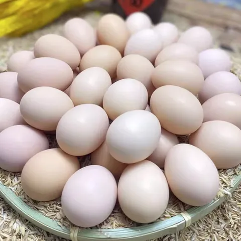 Farm-Fresh Eggs | 30 Farm-Fresh Free-Range Eggs | Natural and Healthy