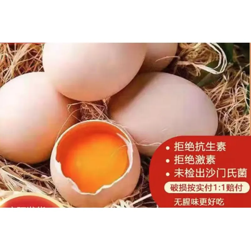 Farm-Fresh Free-Range Eggs 50g&plusmn;5 per Egg, 30-Pack