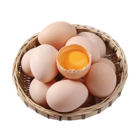 Farm-Fresh Eggs | 10 Farm-Fresh Free-Range Eggs | Natural and Healthy