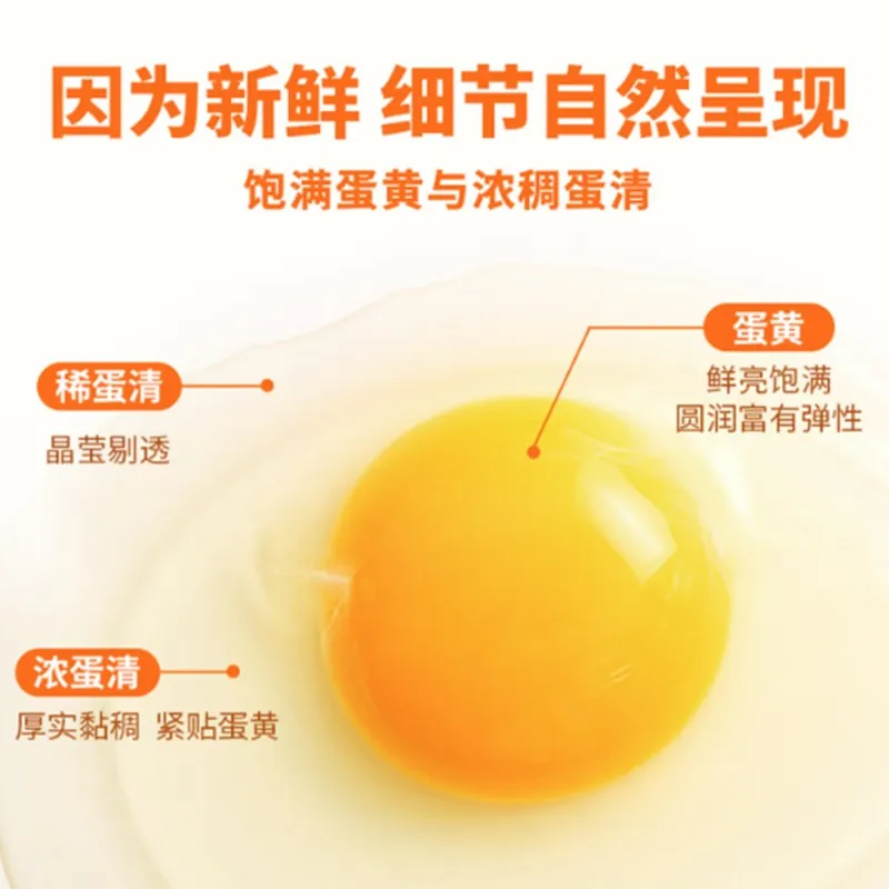 Vegetarian-Fed White Eggs