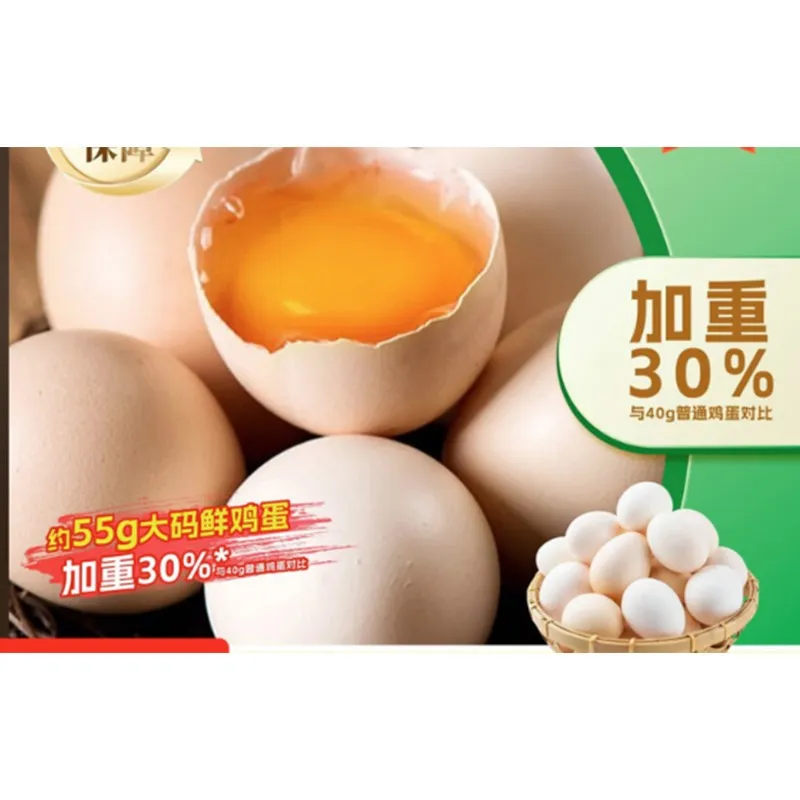 Fresh Eggs from Free-Range Farm 
