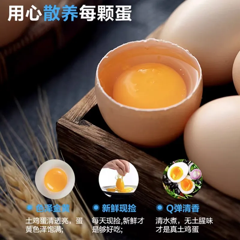 Premium Free-Range Mountain Chicken Eggs from Bamboo Forest50-55g/枚 