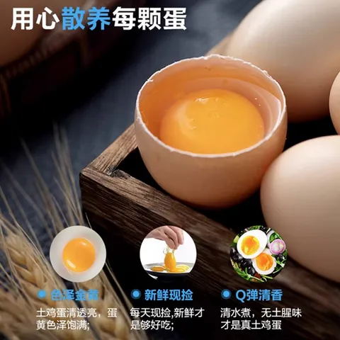 Premium Free-Range Mountain Chicken Eggs from Bamboo Forest50-55g/枚 