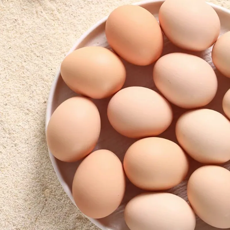 Selenium-Rich Eggs 10ct*50g Fresh Large Grade A Eggs Safe to Eat Raw