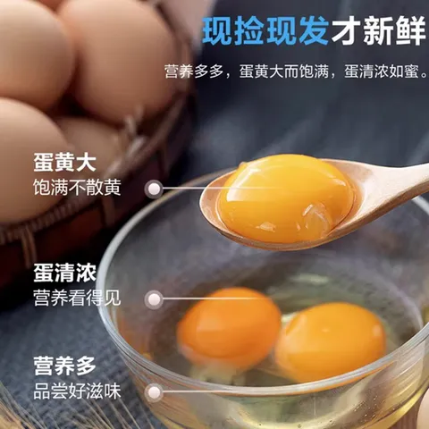 Premium Free-Range Mountain Chicken Eggs from Bamboo Forest45-50g/枚 