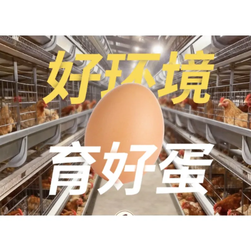 Farm-Fresh Free-Range Eggs 40g&plusmn;5 per Egg, 30-Pack