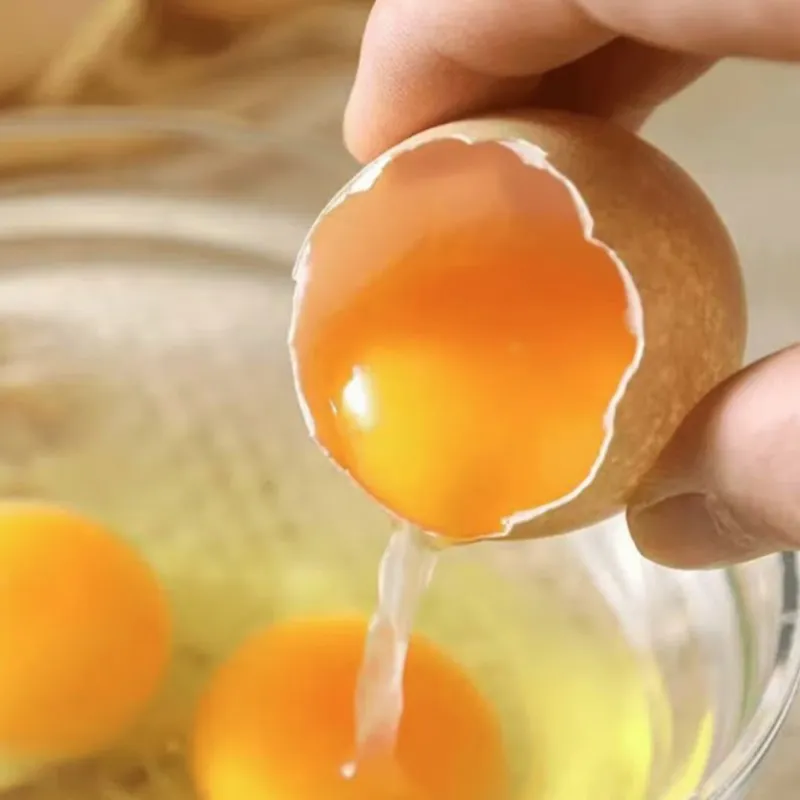 Free-Running Fresh Eggs 