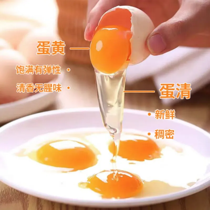 5A Grade Free-Range Chicken Eggs and Black Chicken Eggs Half & Half &ndash; 30 Premium Individually Packaged Eggs