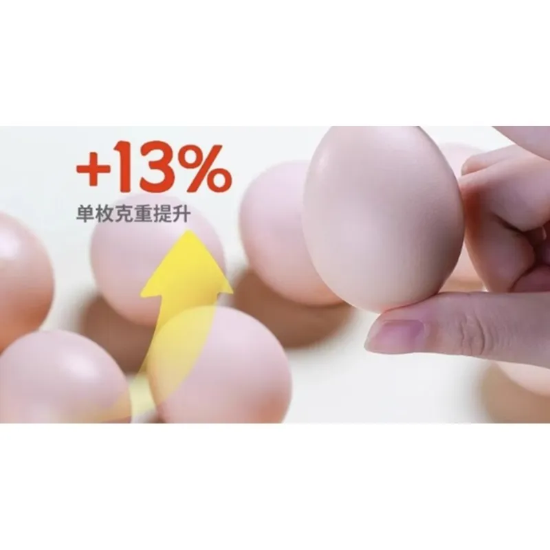Free-range Eggs 100% Natural Farm Fresh - 100 Count Authentic Country Brown Eggs