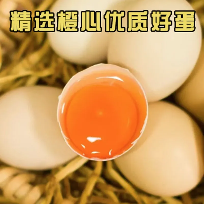 5A Grade Free-Range Chicken Eggs and Black Chicken Eggs Half & Half &ndash; 30 Premium Individually Packaged Eggs