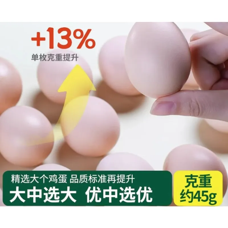 Free-range Eggs 100% Natural Farm Fresh - 100 Count Authentic Country Brown Eggs