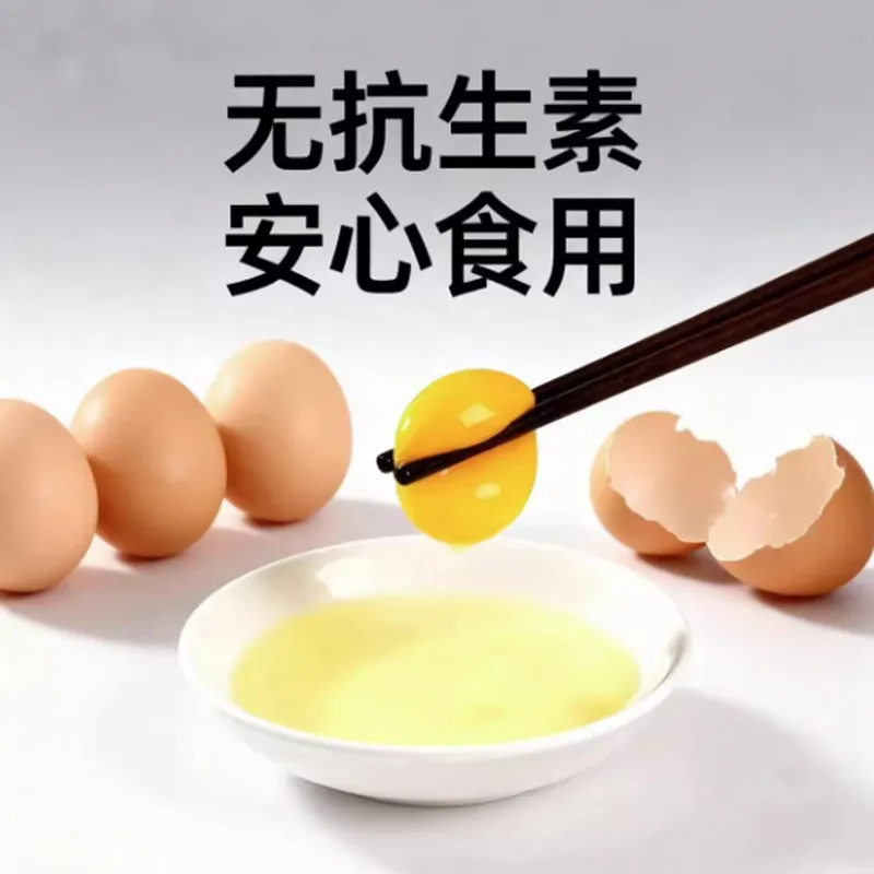 Premium Fresh Eggs for Raw Consumption - Antibiotic-Free, Grain-Fed, Nutritious Breakfast Choice, 10-Pack Family Size
