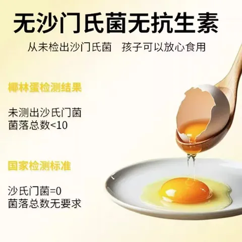 Fresh Large Eggs - 55g Jumbo Size, Antibiotic-Free, No Fishy Smell, Ready-to-Eat
