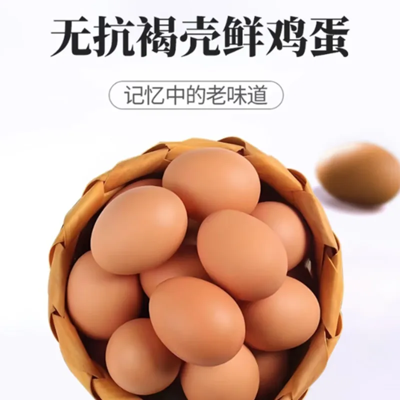  Fresh Farm Eggs &ndash; Mixed Colors