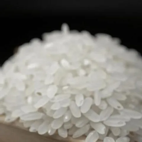 Shahe Rice - Premium Fragrant Rice from Northeast China