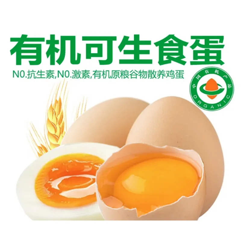 Organic Pasture-Raised Eggs