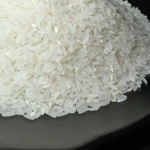 Premium Northeast Fragrant Rice