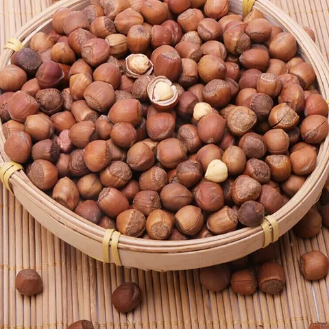 Northeastern Specialty Nuts from Heilongjiang Province, China - 500g Bag of Hazelnuts