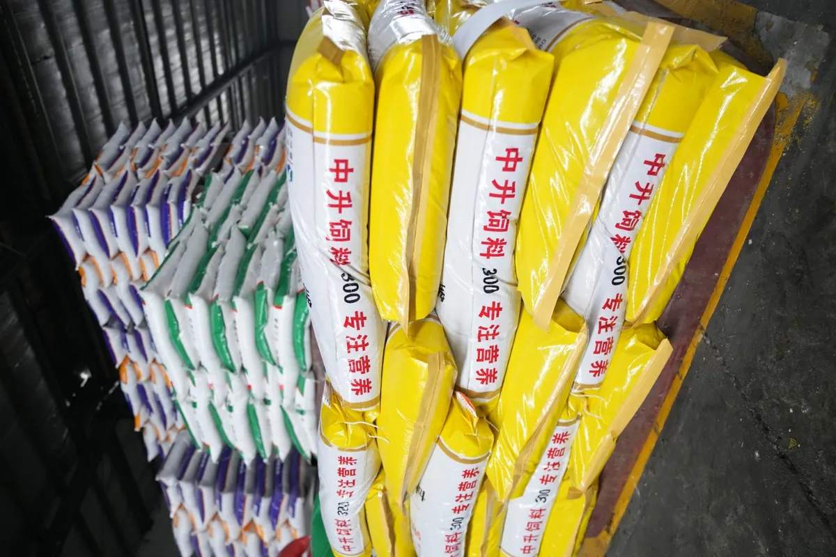 雏鸡饲料-泌乳功率